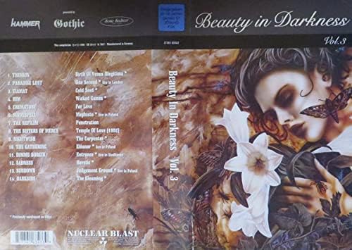 Beauty in Darkness 3