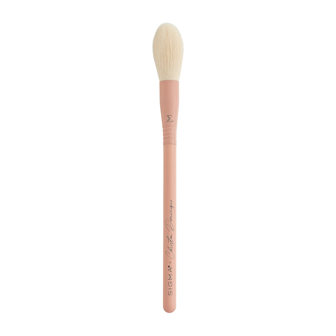Sigma x Christen Dominique All Over Face Precision Brush