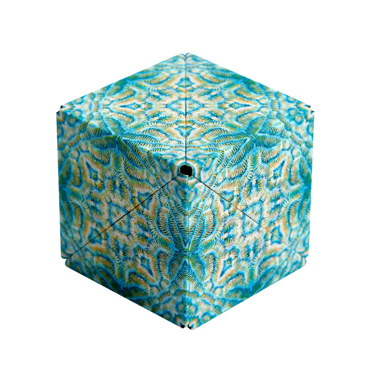 Shashibo