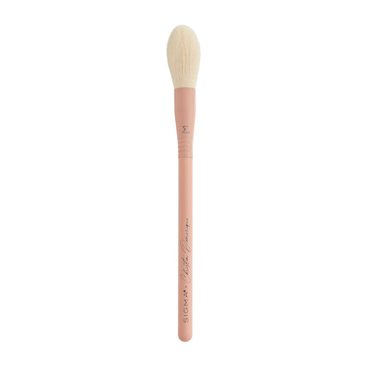 Sigma x Christen Dominique All Over Face Precision Brush