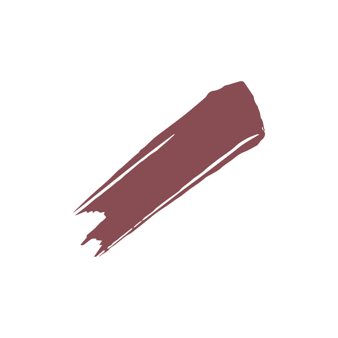 SoulTree Lipstick Cocoa Rich 906