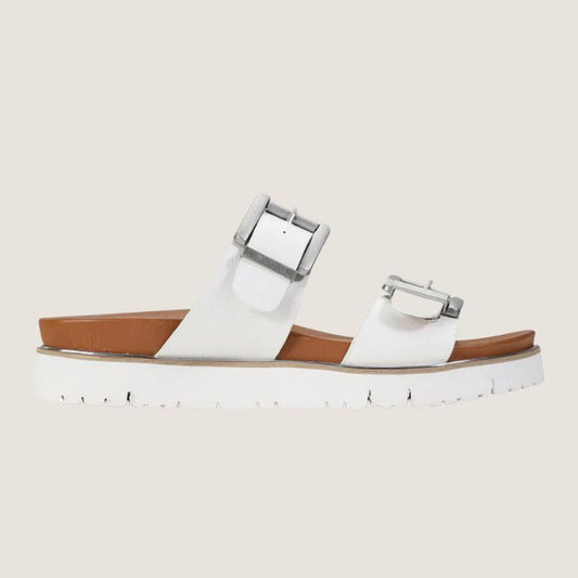 Los Cabos Carter Slide