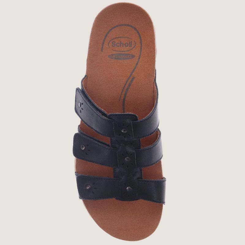 Scholl Andrea Slide