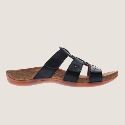 Scholl Andrea Slide