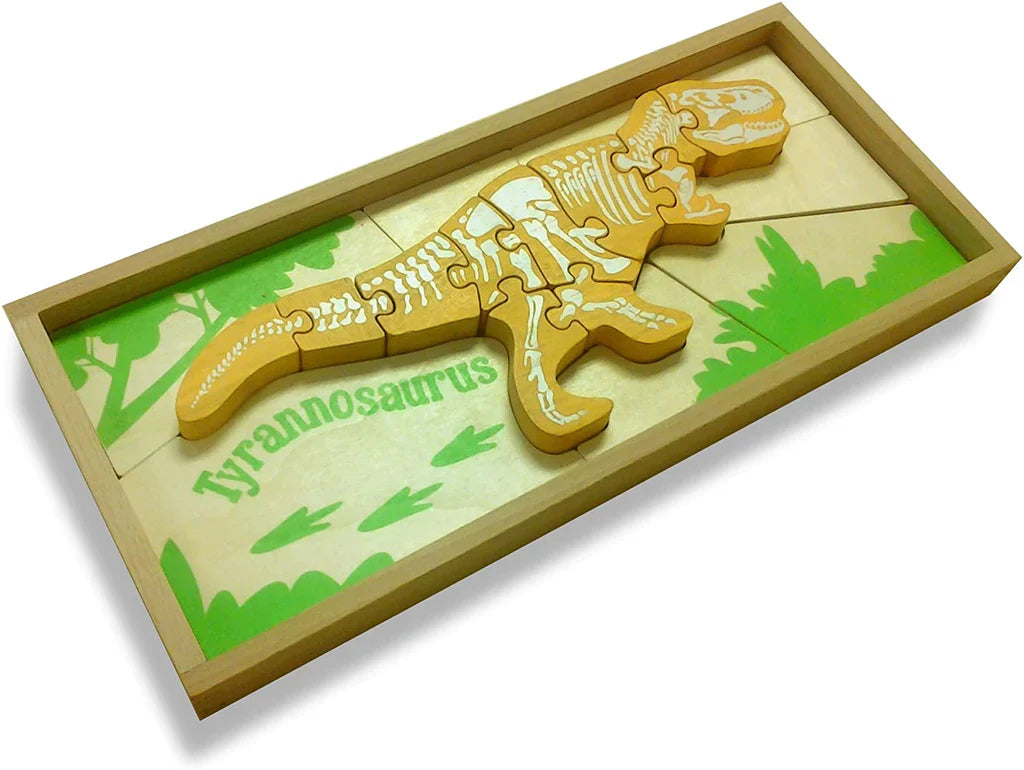 Dino Skeleton